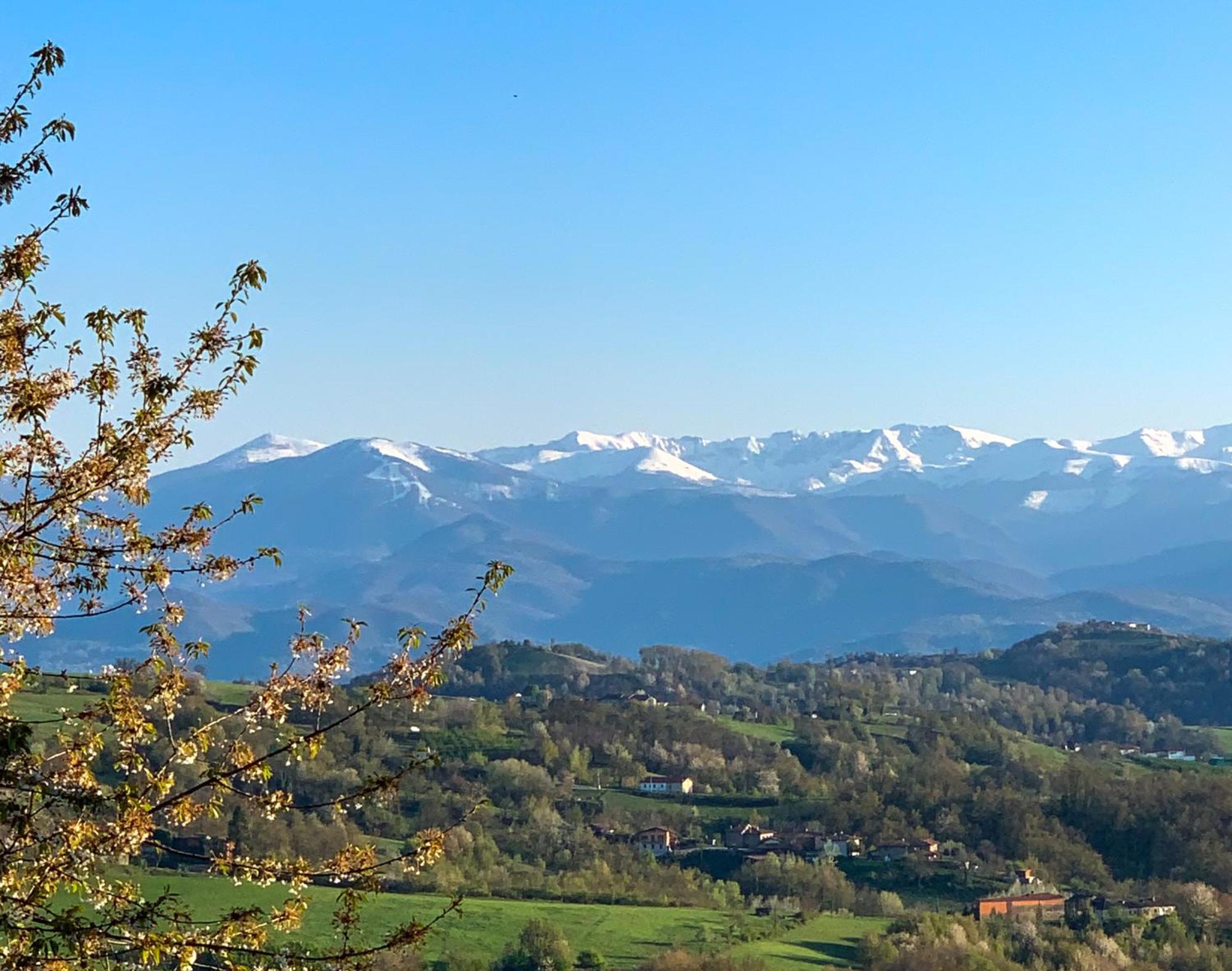 Just Langhe Casa Barolo Villa Novello Eksteriør billede