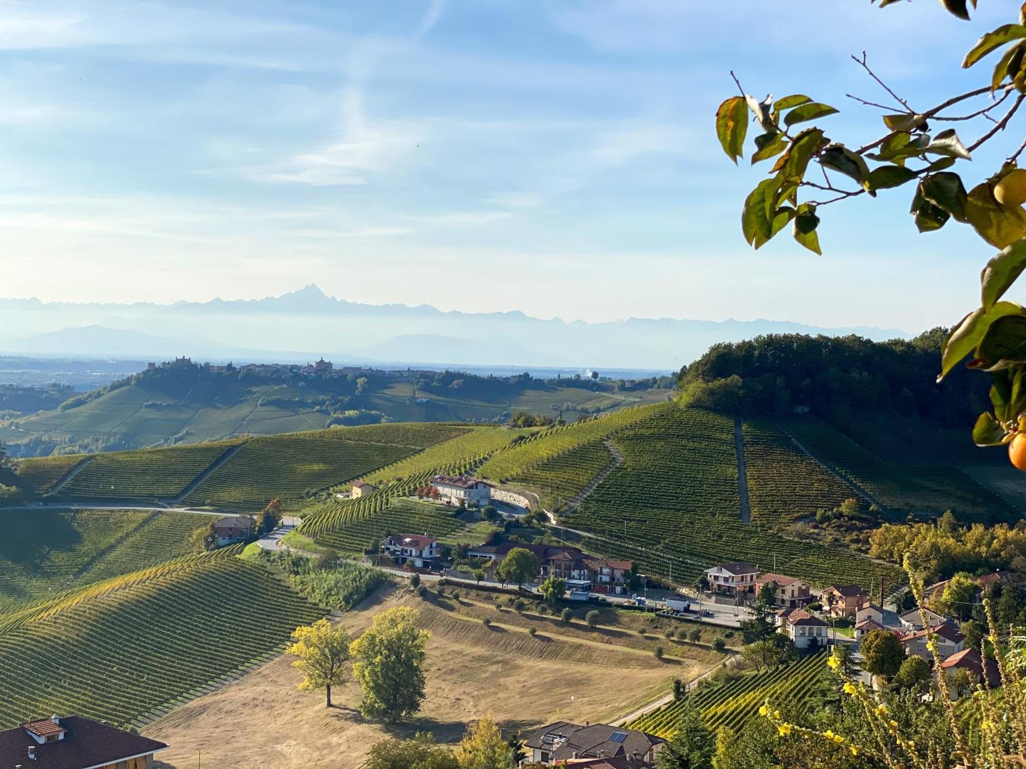 Just Langhe Casa Barolo Villa Novello Eksteriør billede