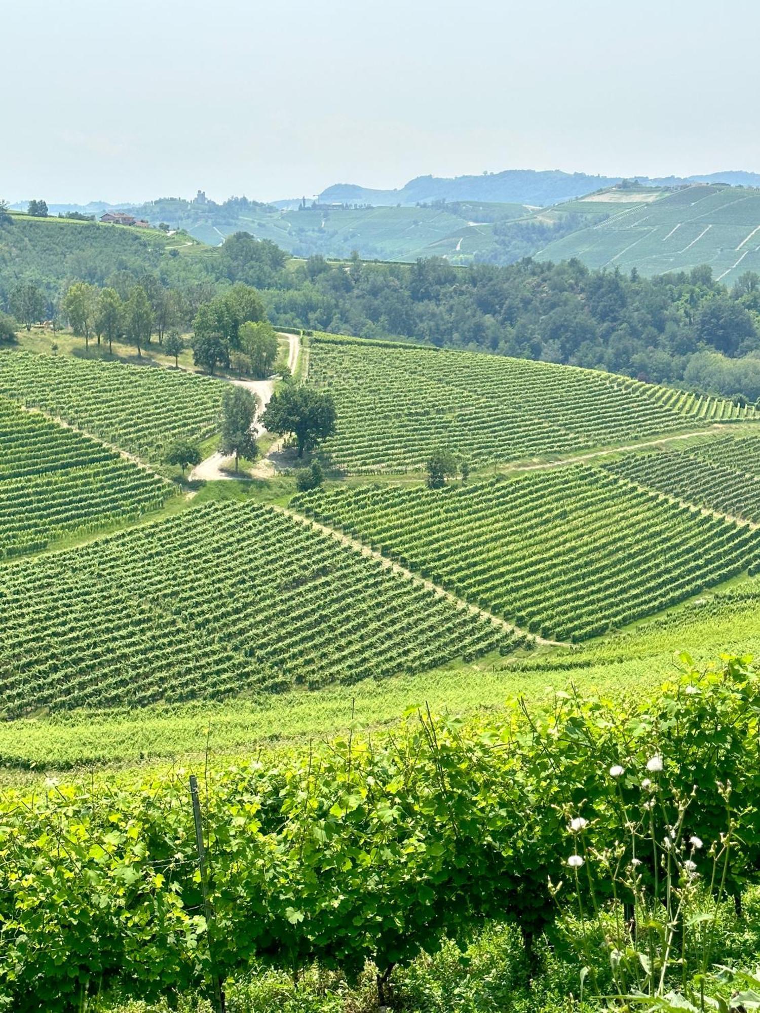 Just Langhe Casa Barolo Villa Novello Eksteriør billede